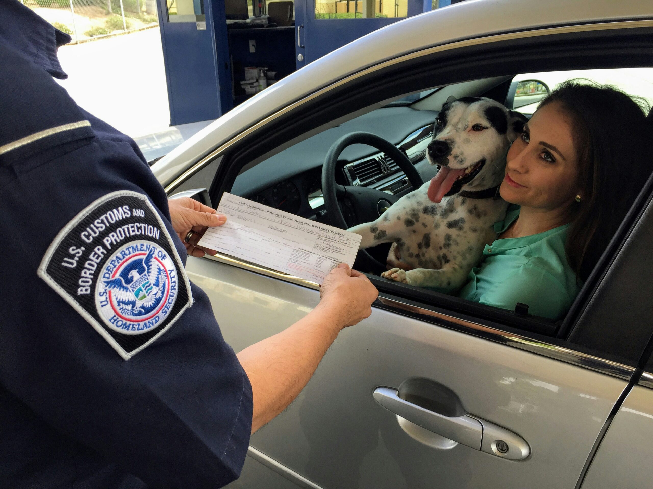 Understanding Car Licensing Regulations Across the Globe: A Comparative Analysis